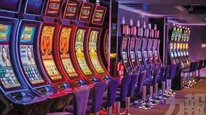tg555 bet