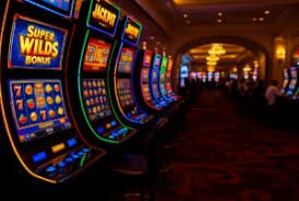 tg555 bet